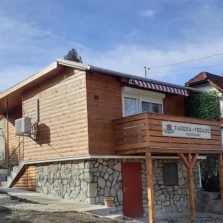 Fagoda-fogado Vendeghaz Holiday home